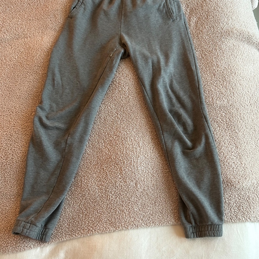 Women's Aritzia Gray Joggers